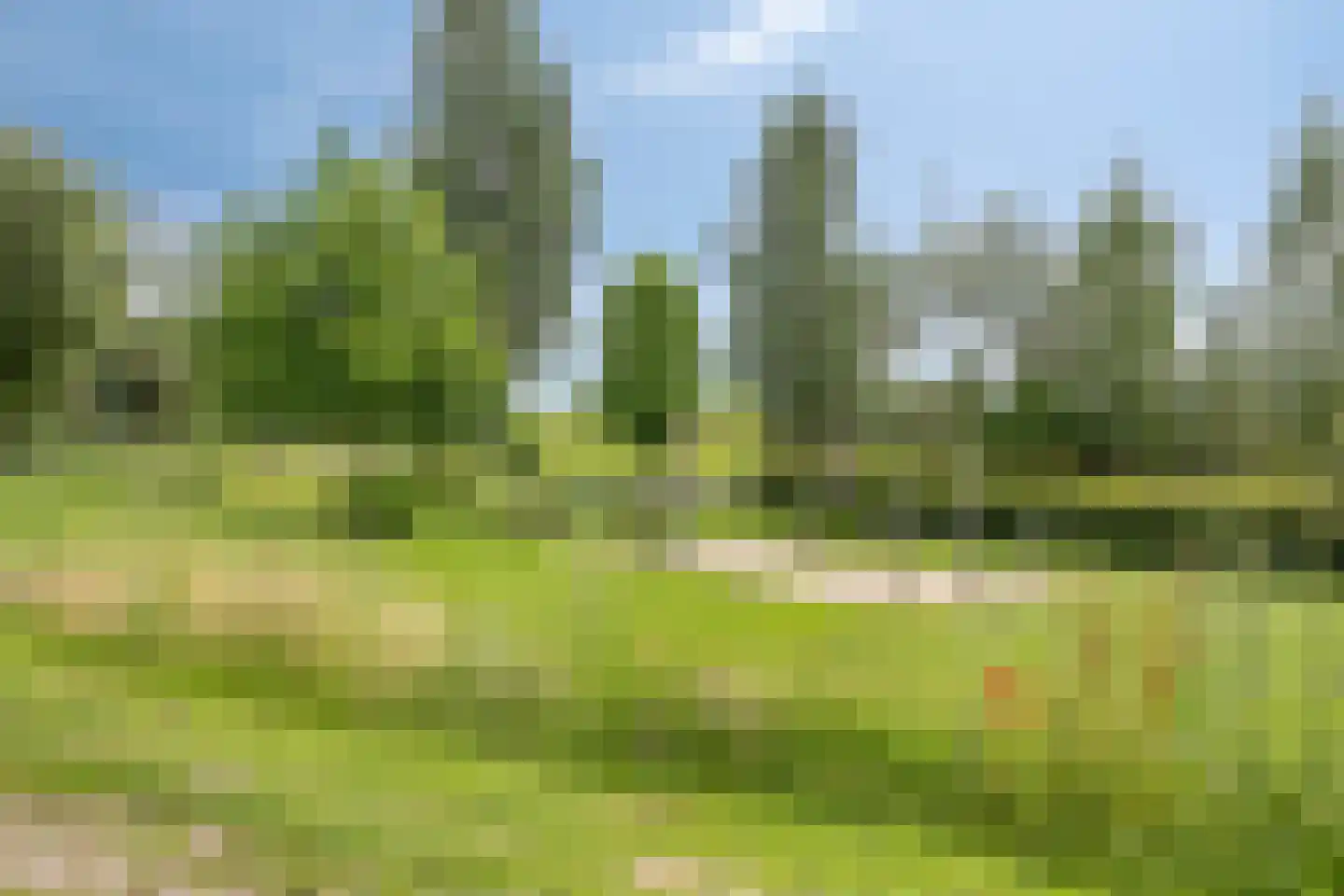Richterdael 9 Roermond thumbnail 45