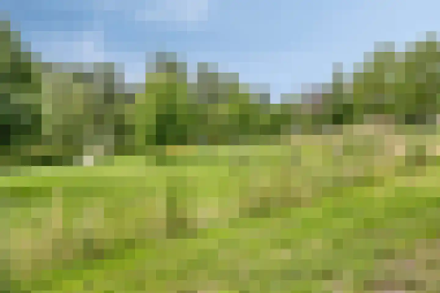 Richterdael 9 Roermond thumbnail 46