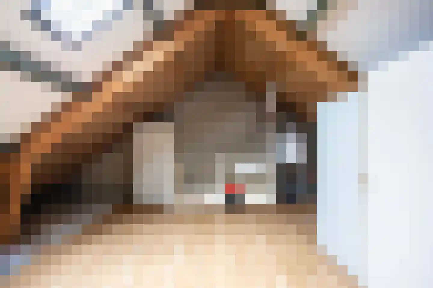 Richterenlaan 37 Leek thumbnail 36