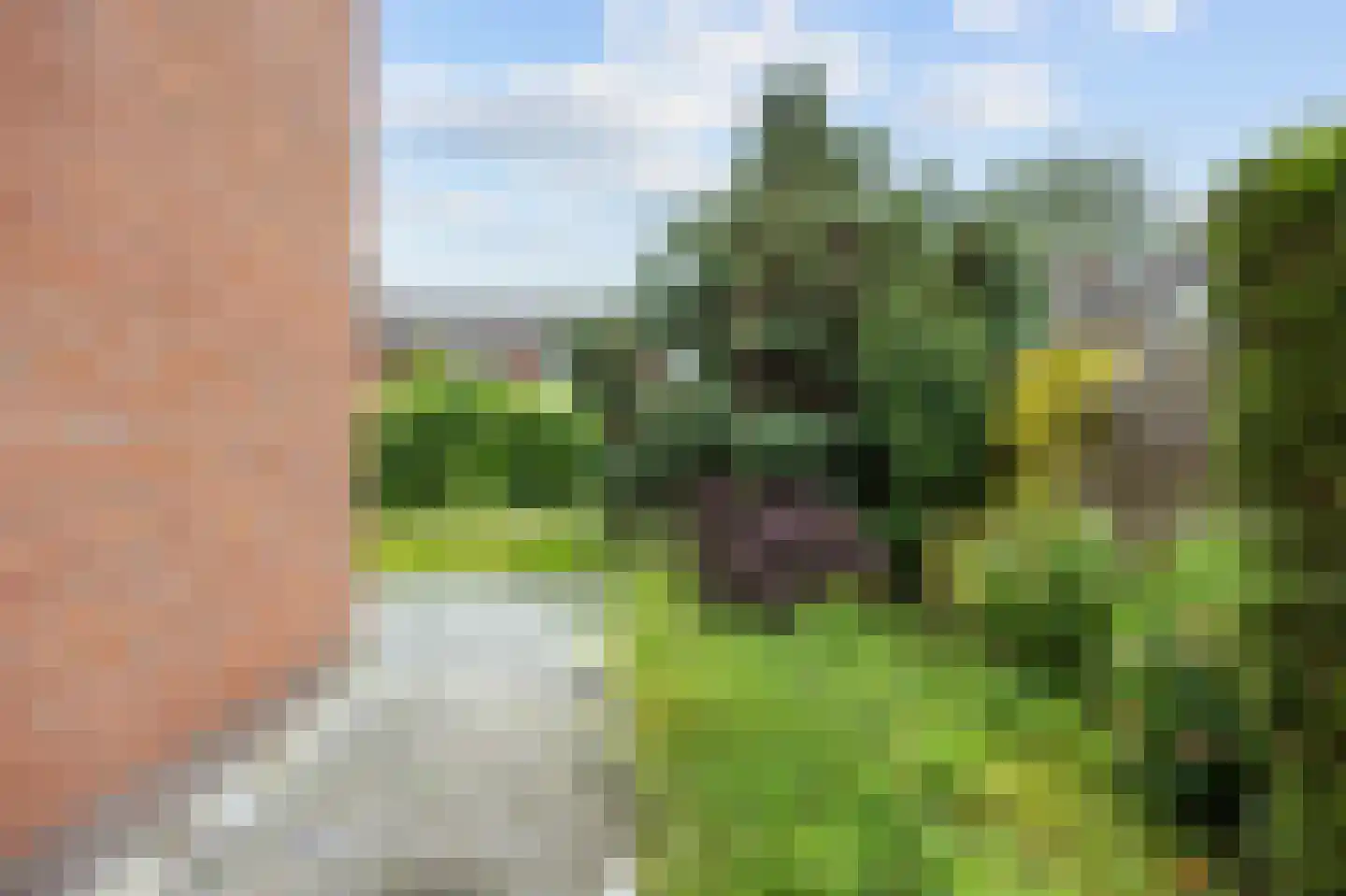 Richterenlaan 37 Leek thumbnail 45