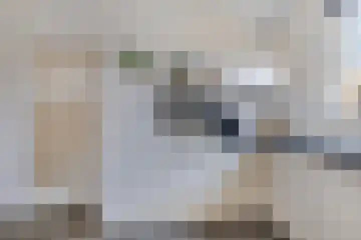 Richterinkstraat 14 Aalten thumbnail 17
