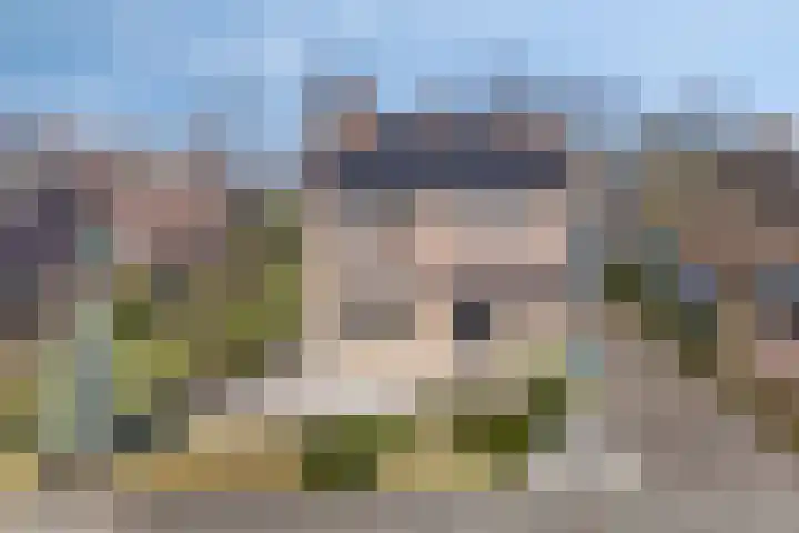 Richterinkstraat 14 Aalten thumbnail 36