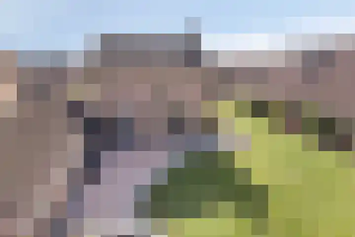 Richterinkstraat 14 Aalten thumbnail 39