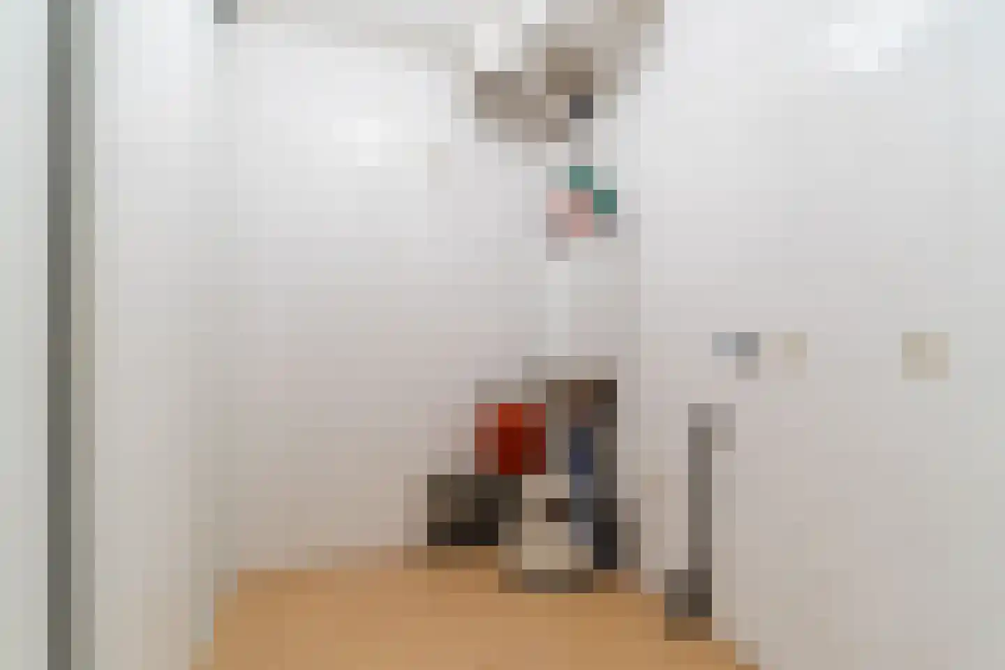 Richterpad 33 Valkenswaard thumbnail 30