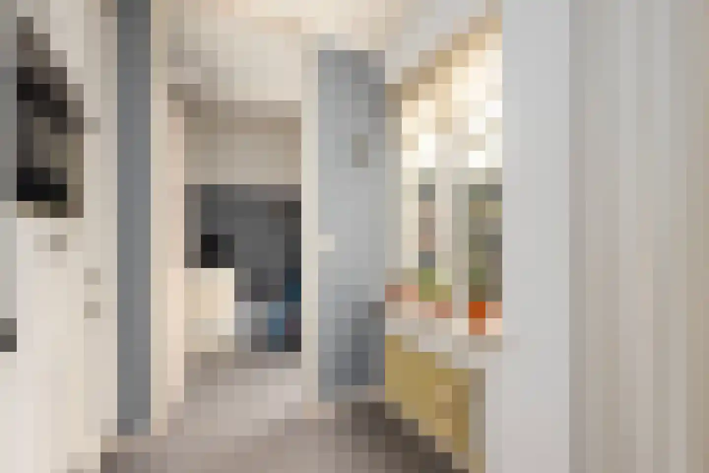 Richtersakker 4 Doesburg thumbnail 20