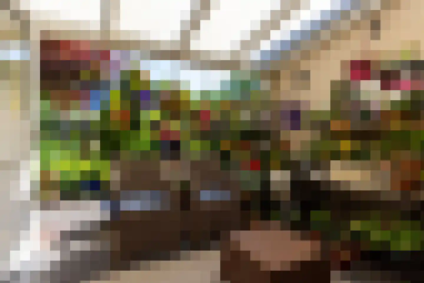 Richtersakker 4 Doesburg thumbnail 22