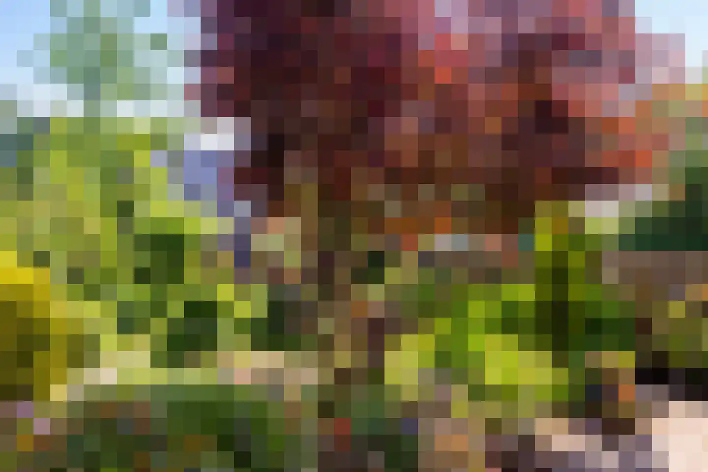 Richtersakker 4 Doesburg thumbnail 23