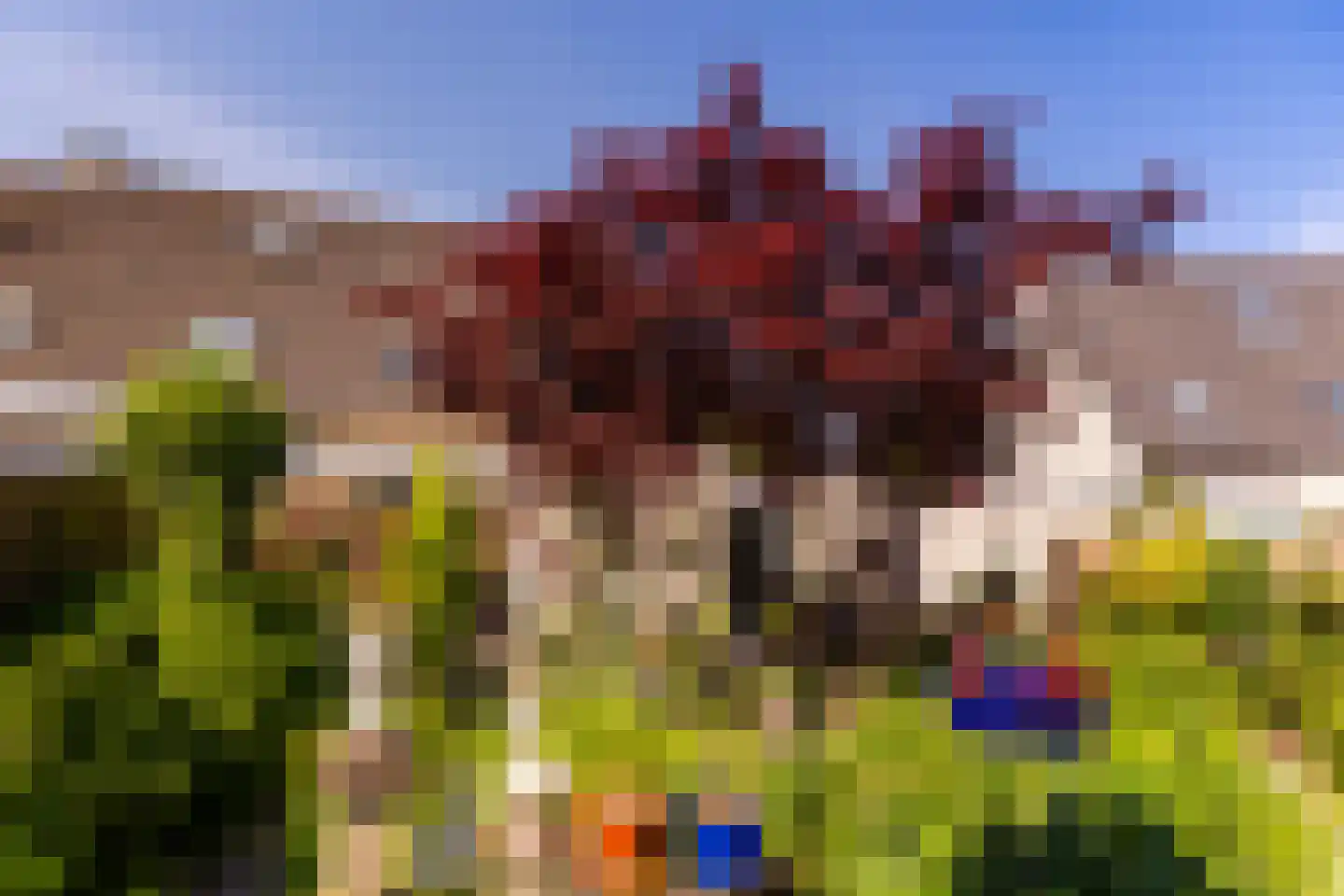 Richtersakker 4 Doesburg thumbnail 24