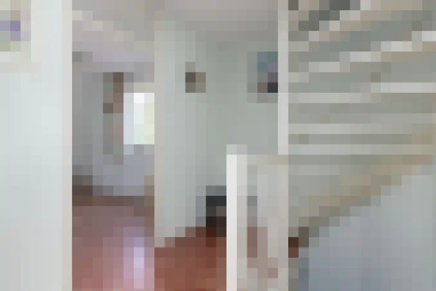 Richtersakker 4 Doesburg thumbnail 25