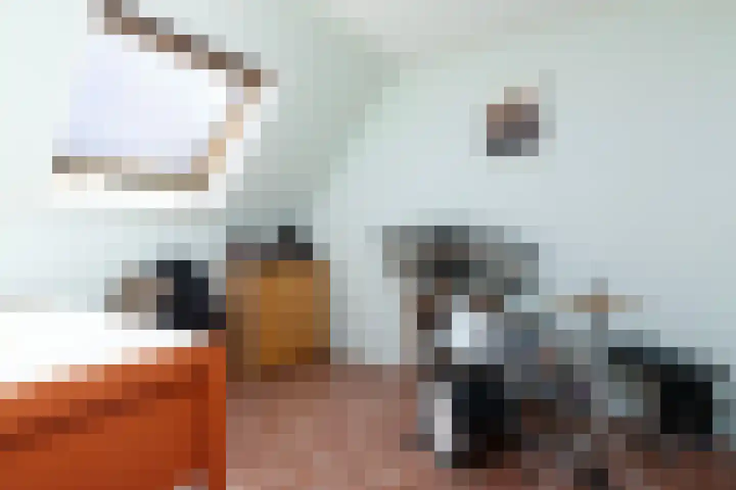 Richtersakker 4 Doesburg thumbnail 30