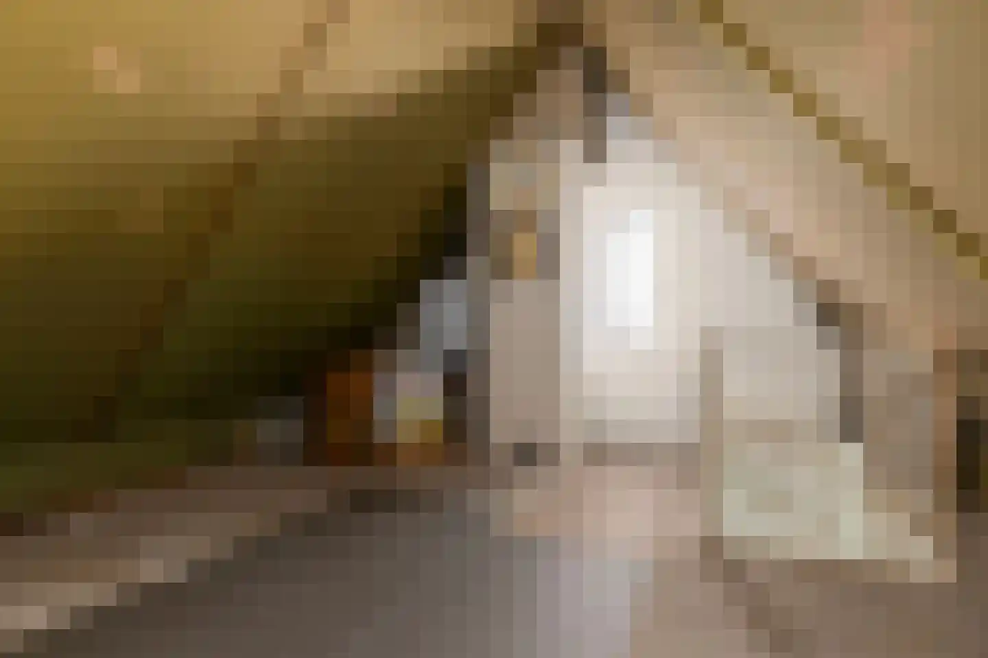 Richtersakker 4 Doesburg thumbnail 32