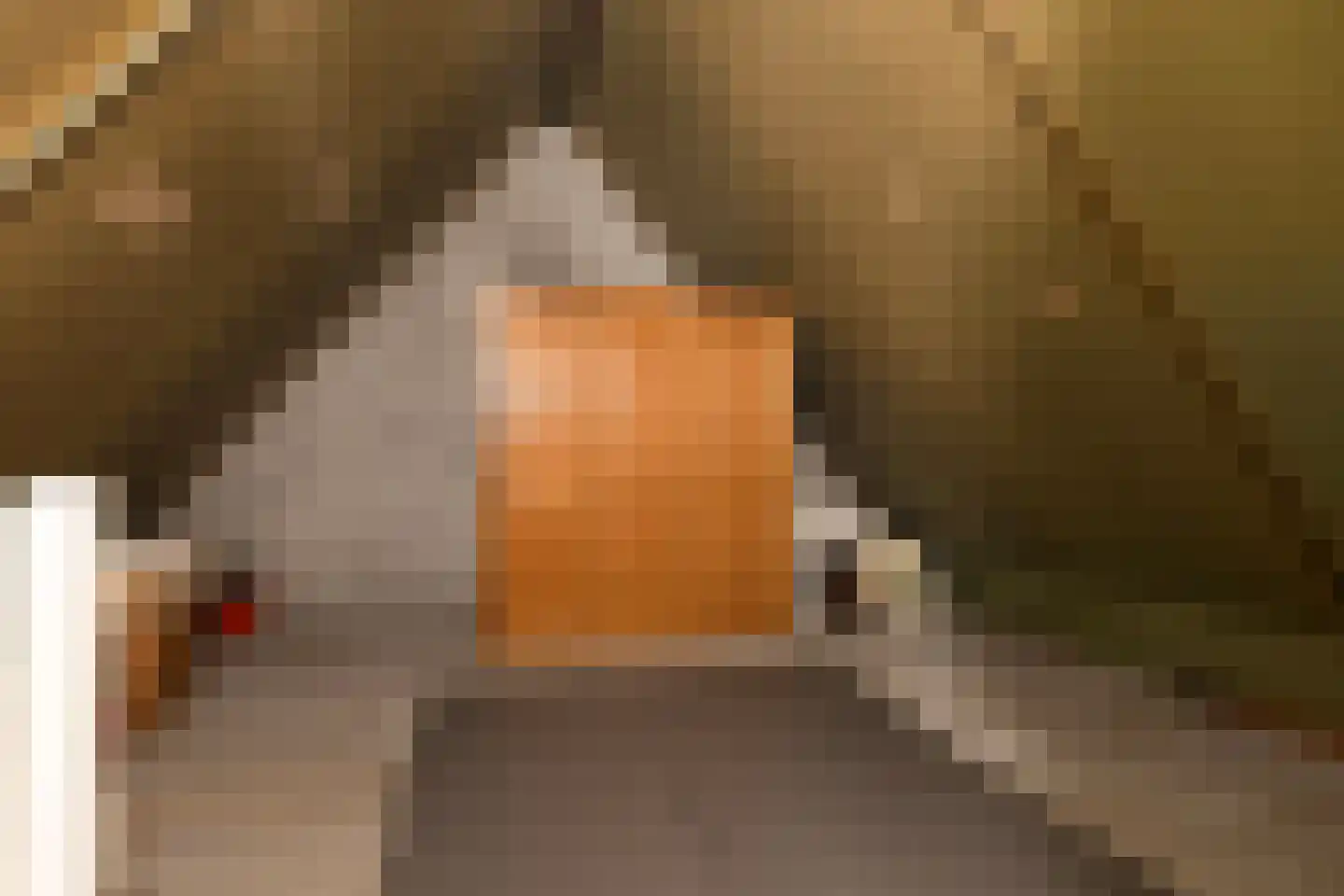 Richtersakker 4 Doesburg thumbnail 33