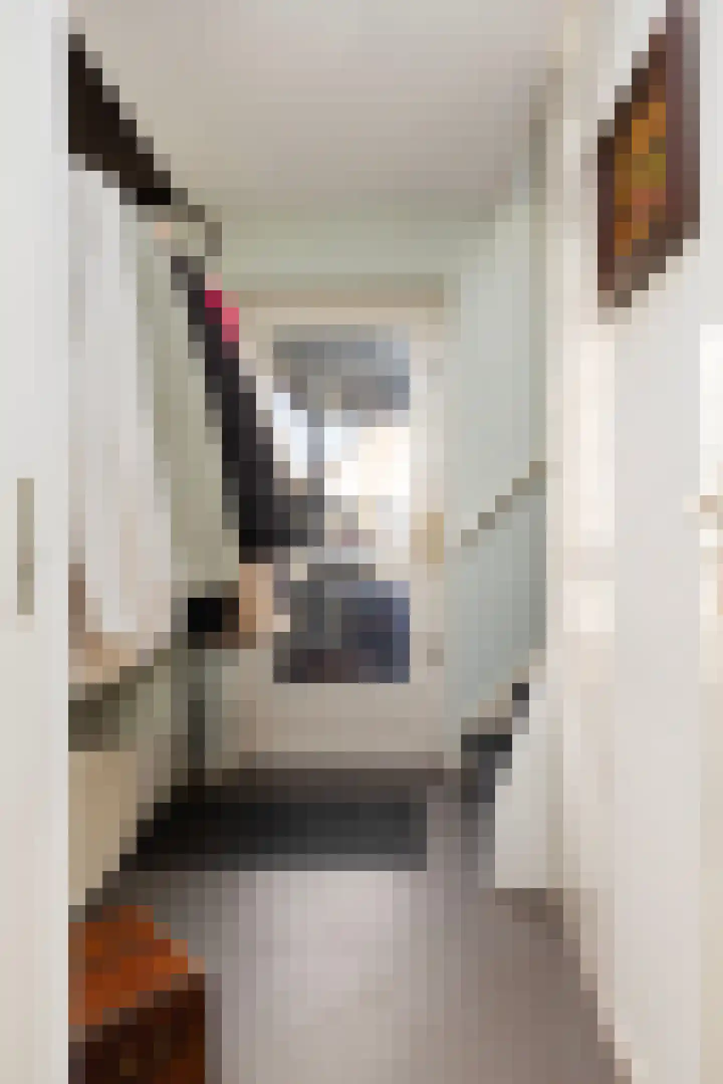 Richtersakker 4 Doesburg thumbnail 7