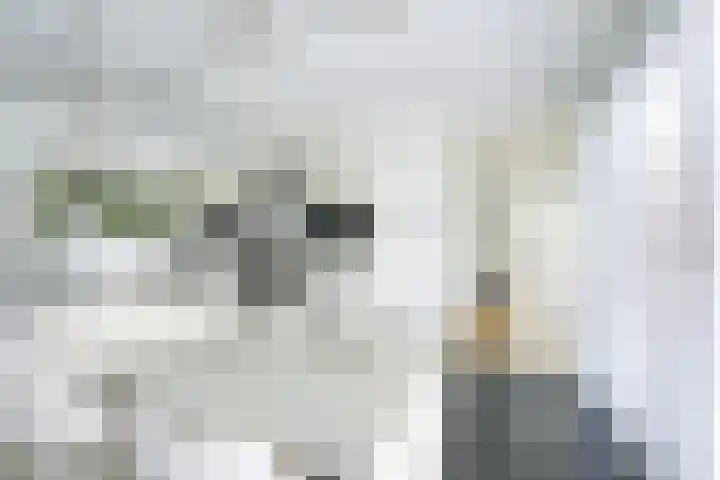 Richterserf 12 Houten thumbnail 19