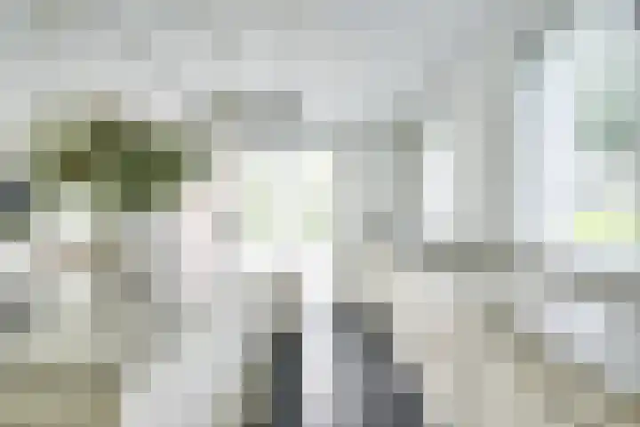 Richterserf 12 Houten thumbnail 20