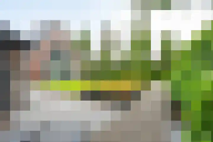 Richterserf 12 Houten thumbnail 25