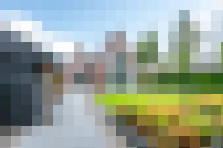 Richterserf 12 Houten thumbnail 26