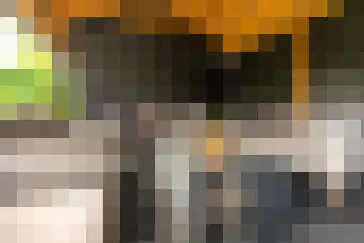 Richterserf 12 Houten thumbnail 29