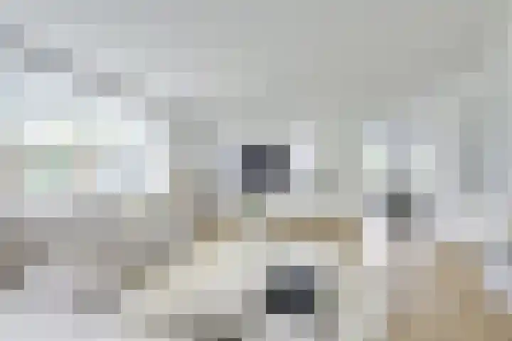 Richterserf 12 Houten thumbnail 8