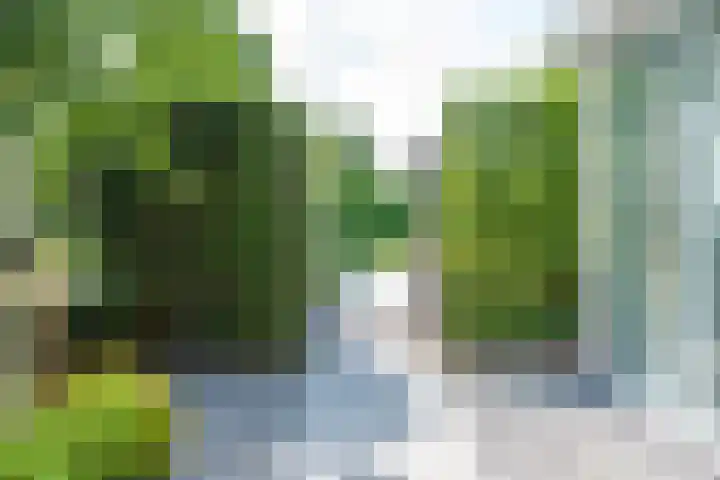 Richterserf 12 Houten thumbnail 80