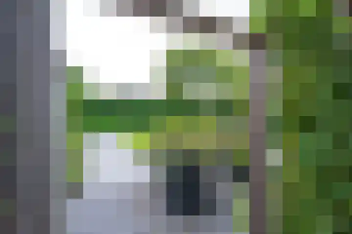 Richterserf 12 Houten thumbnail 87