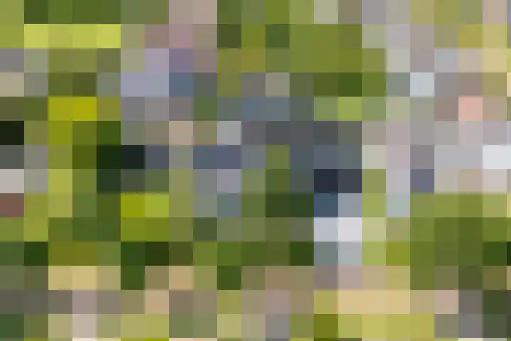 Richterserf 12 Houten thumbnail 91