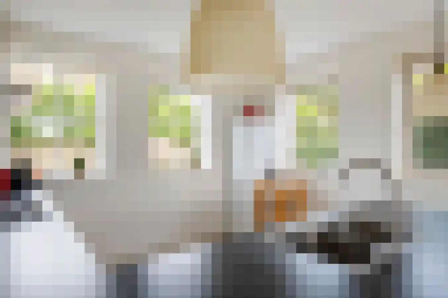 Richtershof 16 Kapel Avezaath thumbnail 23