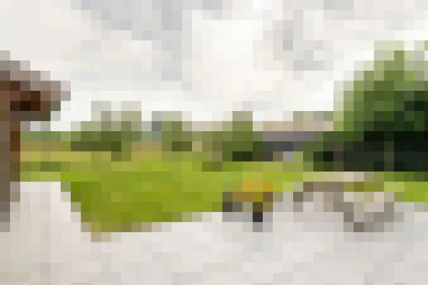 Richtershof 16 Kapel Avezaath thumbnail 31
