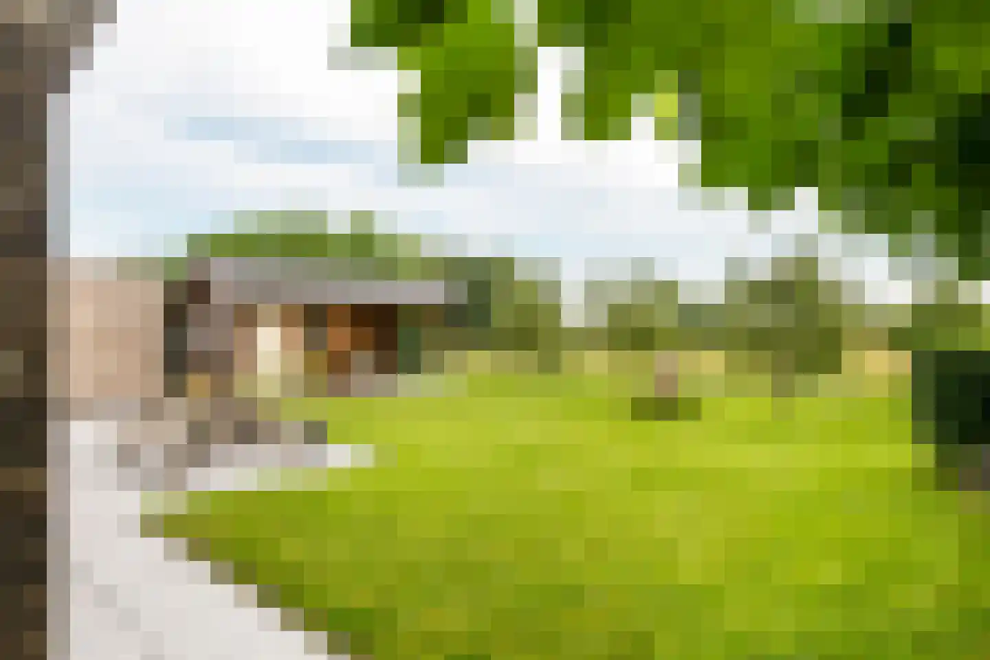Richtershof 16 Kapel Avezaath thumbnail 35