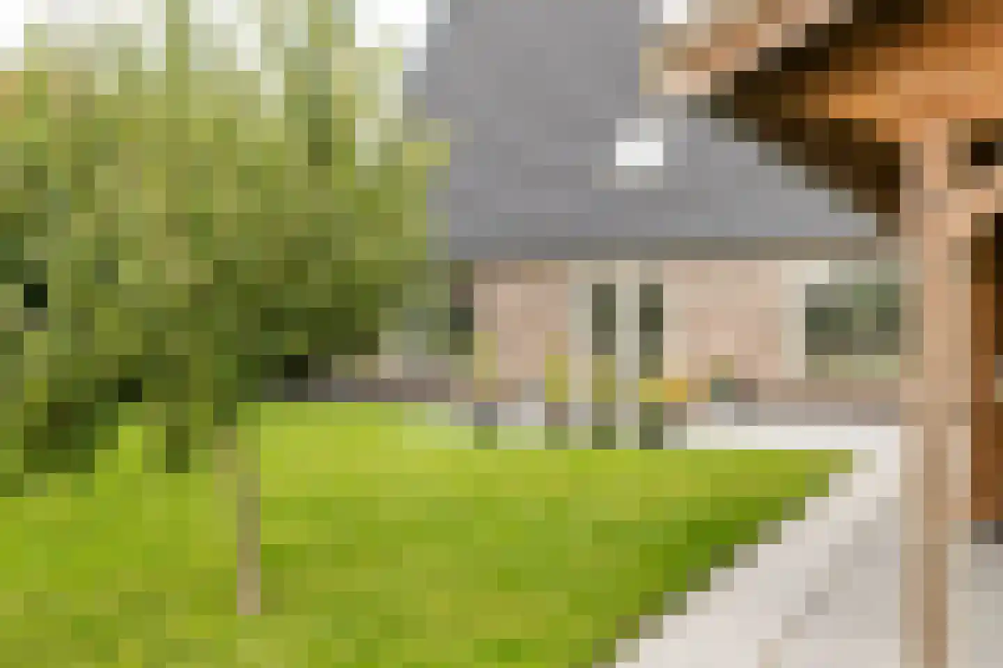 Richtershof 16 Kapel Avezaath thumbnail 42
