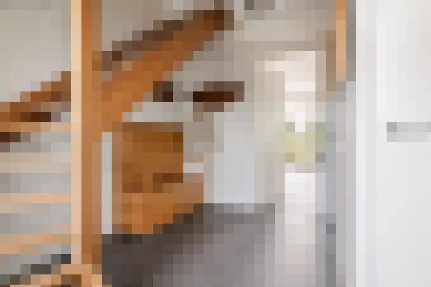 Richtershof 16 Kapel Avezaath thumbnail 47