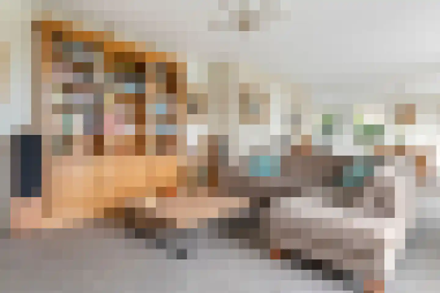 Richtershof 16 Kapel Avezaath thumbnail 5