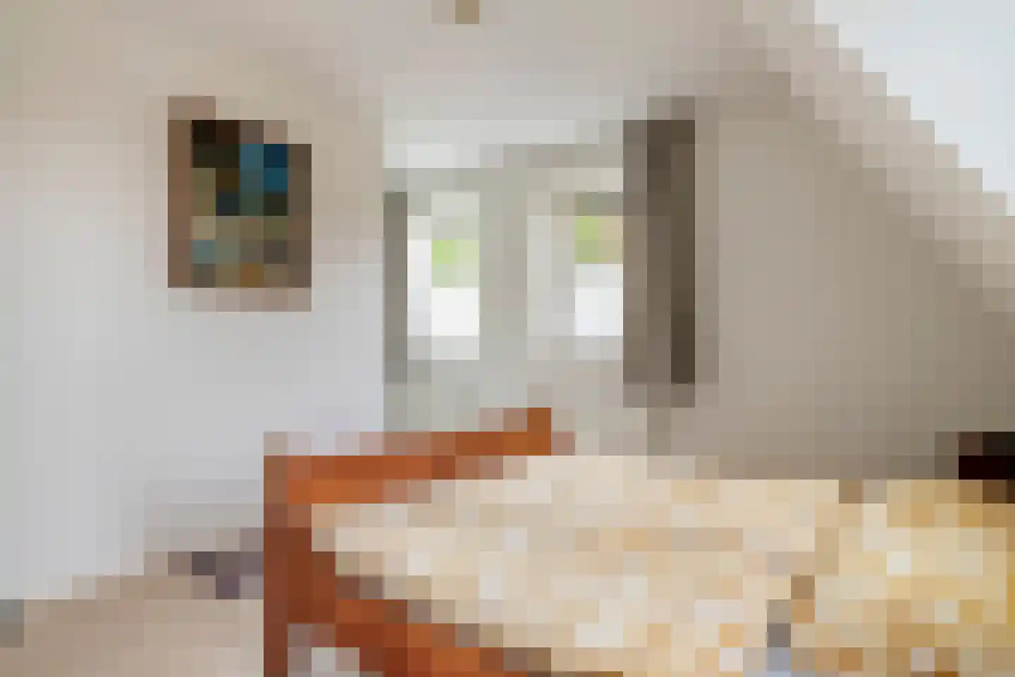 Richtershof 16 Kapel Avezaath thumbnail 50