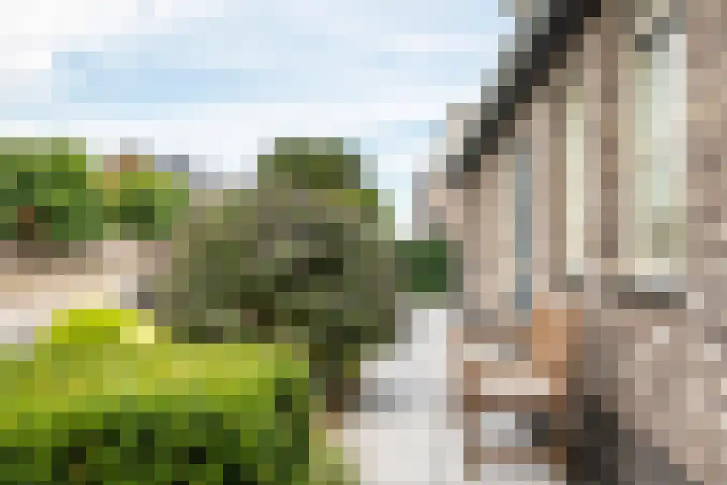 Richtershof 16 Kapel Avezaath thumbnail 73