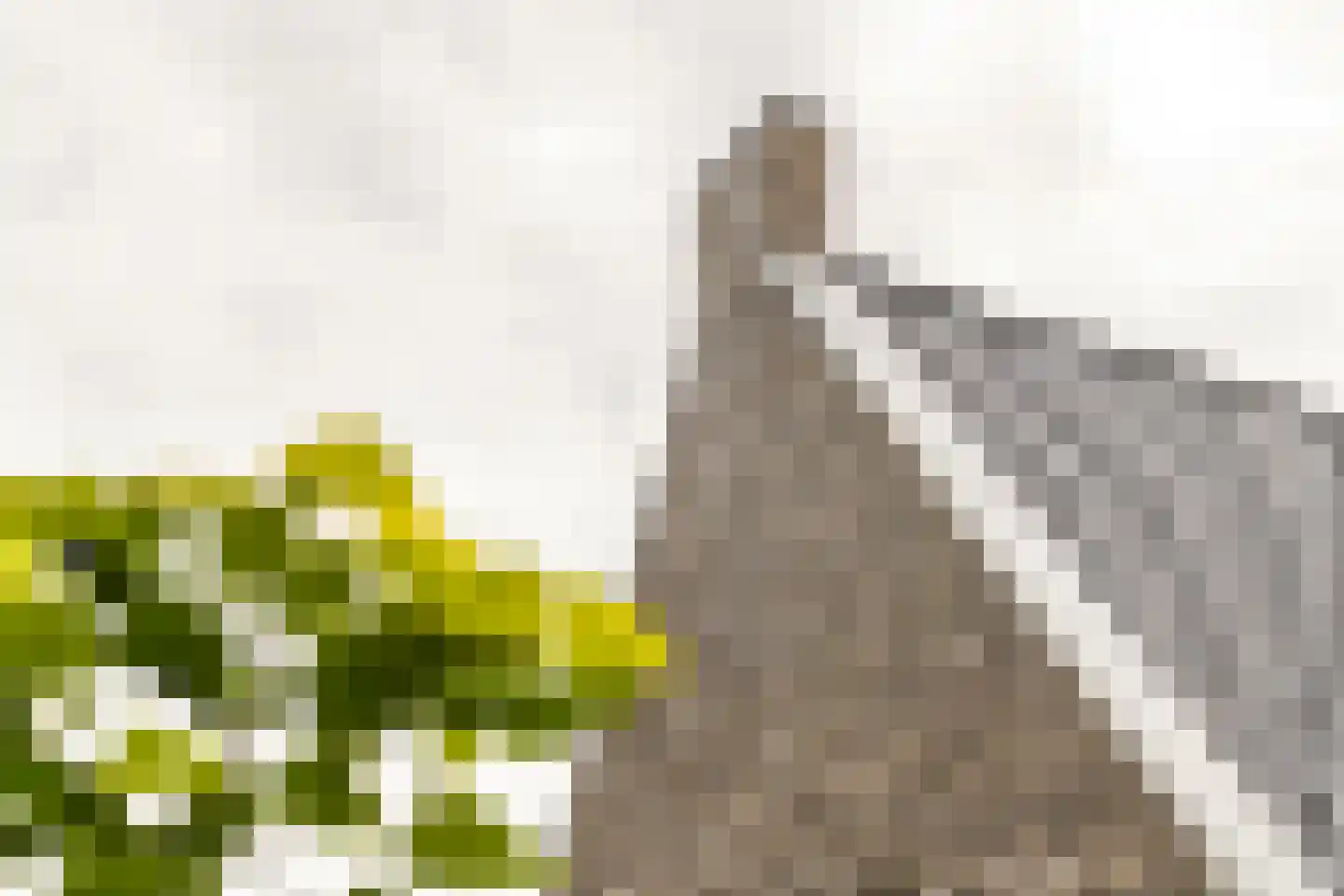 Richtershof 16 Kapel Avezaath thumbnail 77