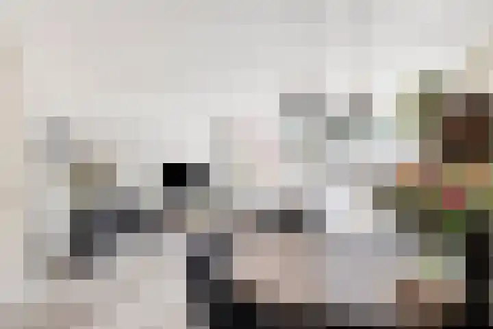 Richtershof 29 Kapel Avezaath thumbnail 16