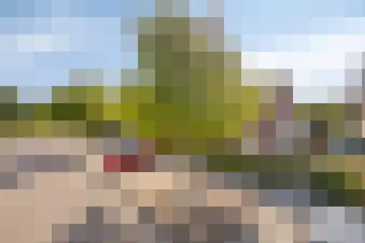 Richtershof 29 Kapel Avezaath thumbnail 5