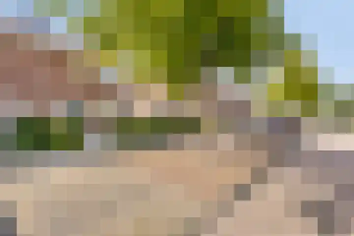 Richtershof 29 Kapel Avezaath thumbnail 6