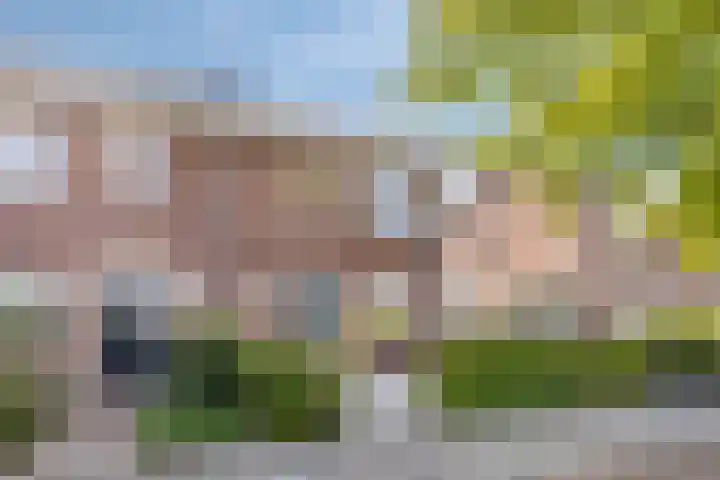 Richtershof 29 Kapel Avezaath thumbnail 7