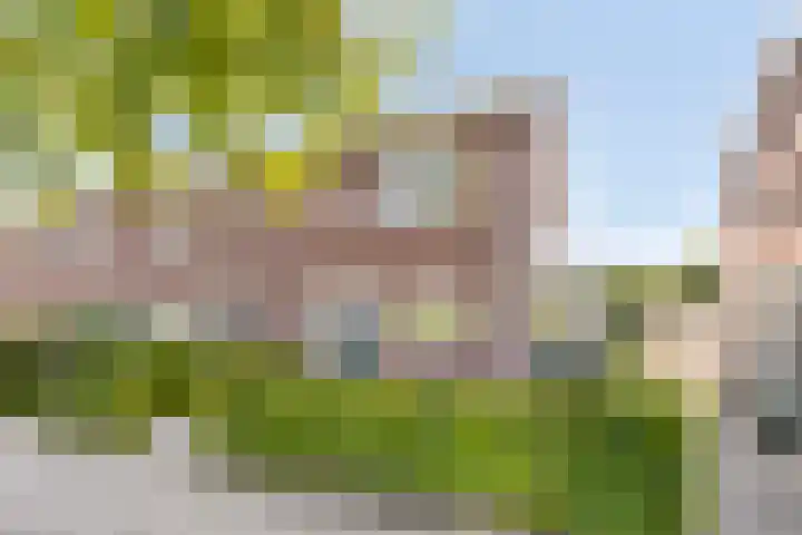 Richtershof 29 Kapel Avezaath thumbnail 9