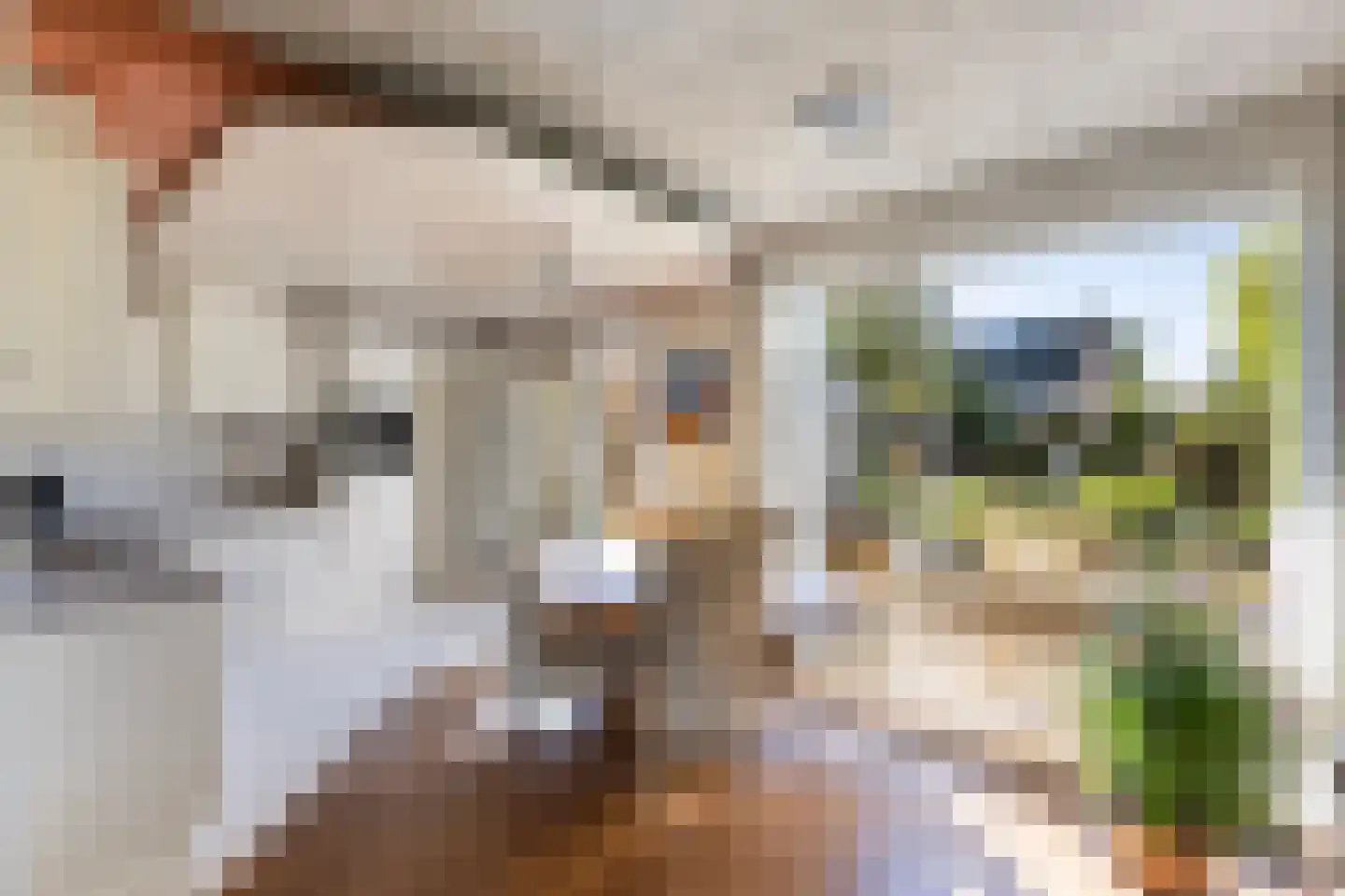 Richtershof 7 Dalfsen thumbnail 10