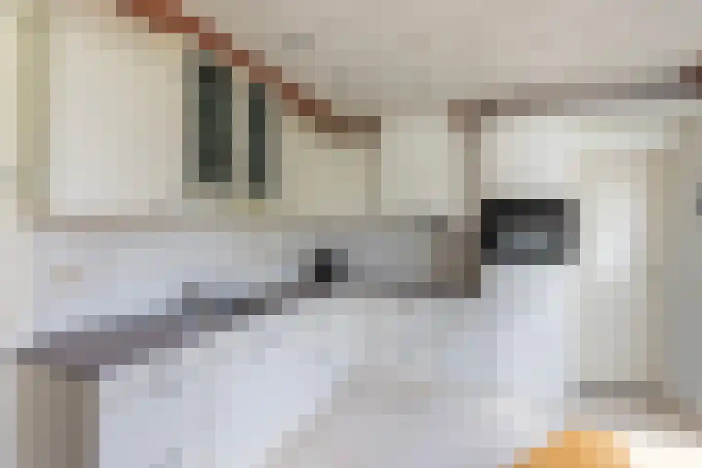 Richtershof 7 Dalfsen thumbnail 11