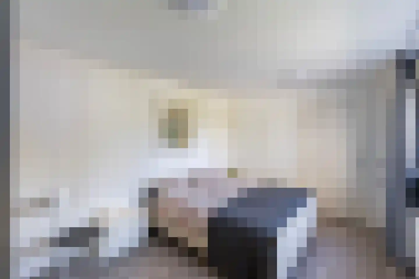 Richtershof 7 Dalfsen thumbnail 13