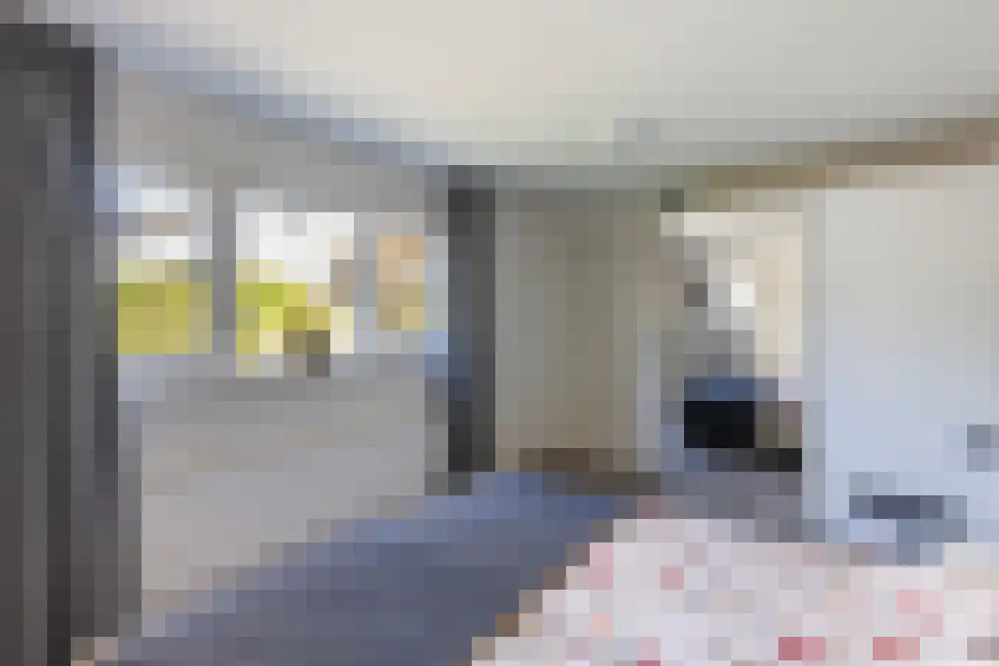 Richtershof 7 Dalfsen thumbnail 14