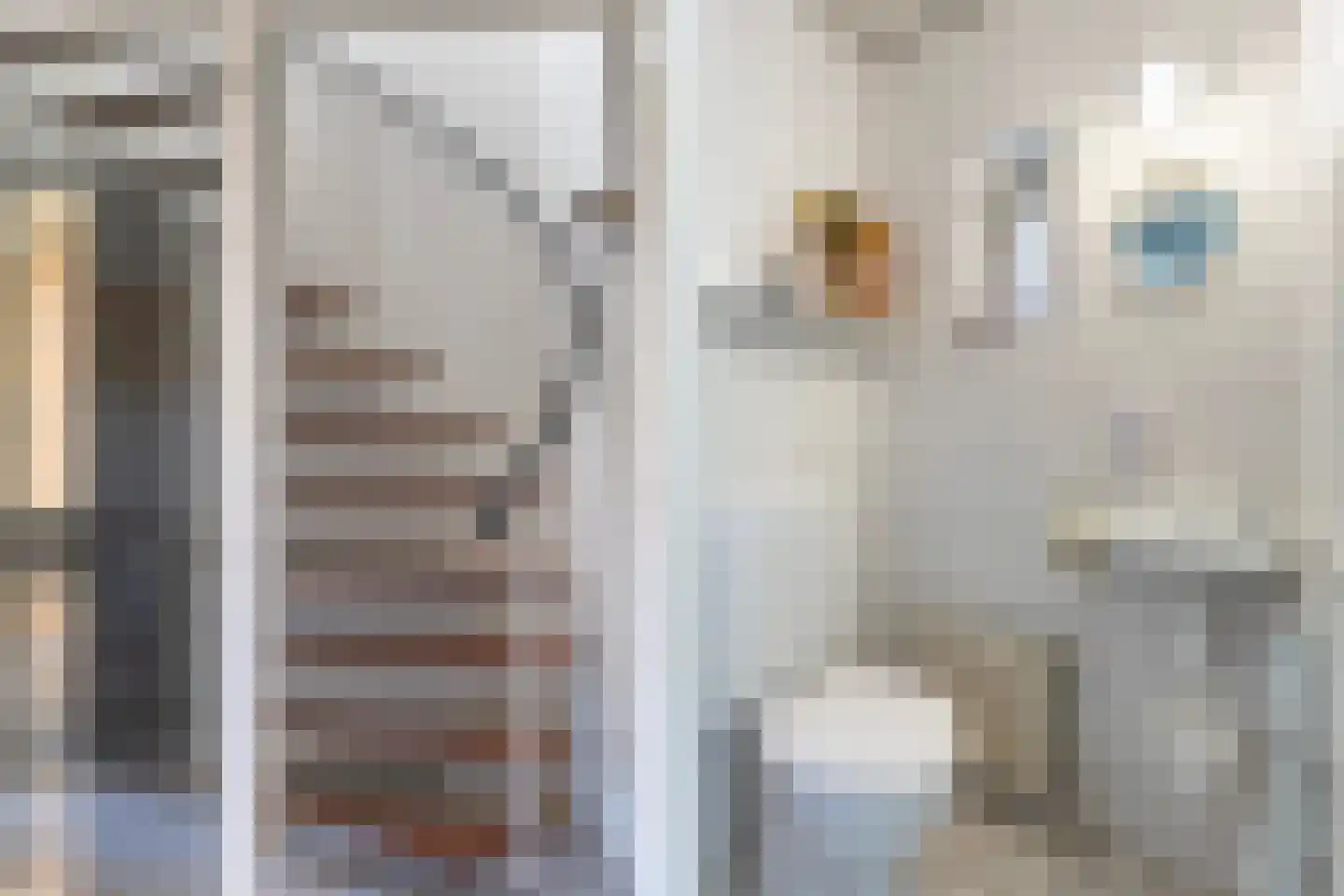 Richtershof 7 Dalfsen thumbnail 17