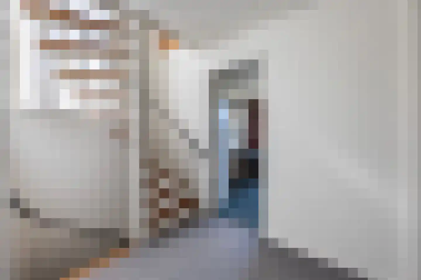 Richtershof 7 Dalfsen thumbnail 18