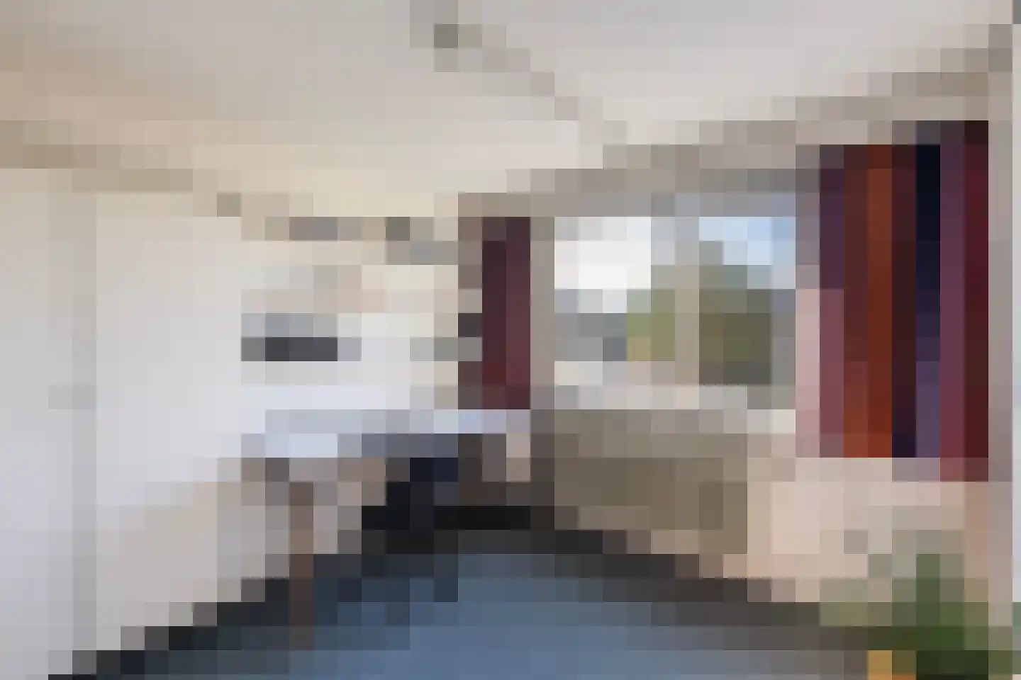 Richtershof 7 Dalfsen thumbnail 19