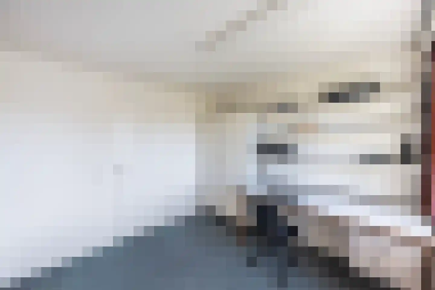 Richtershof 7 Dalfsen thumbnail 20