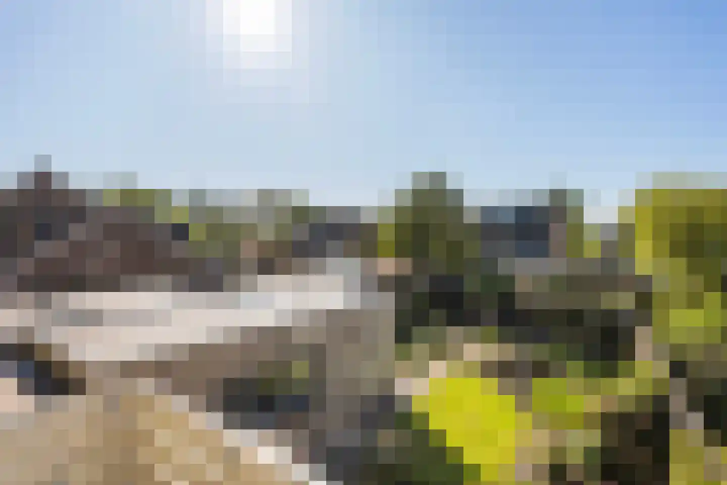 Richtershof 7 Dalfsen thumbnail 23