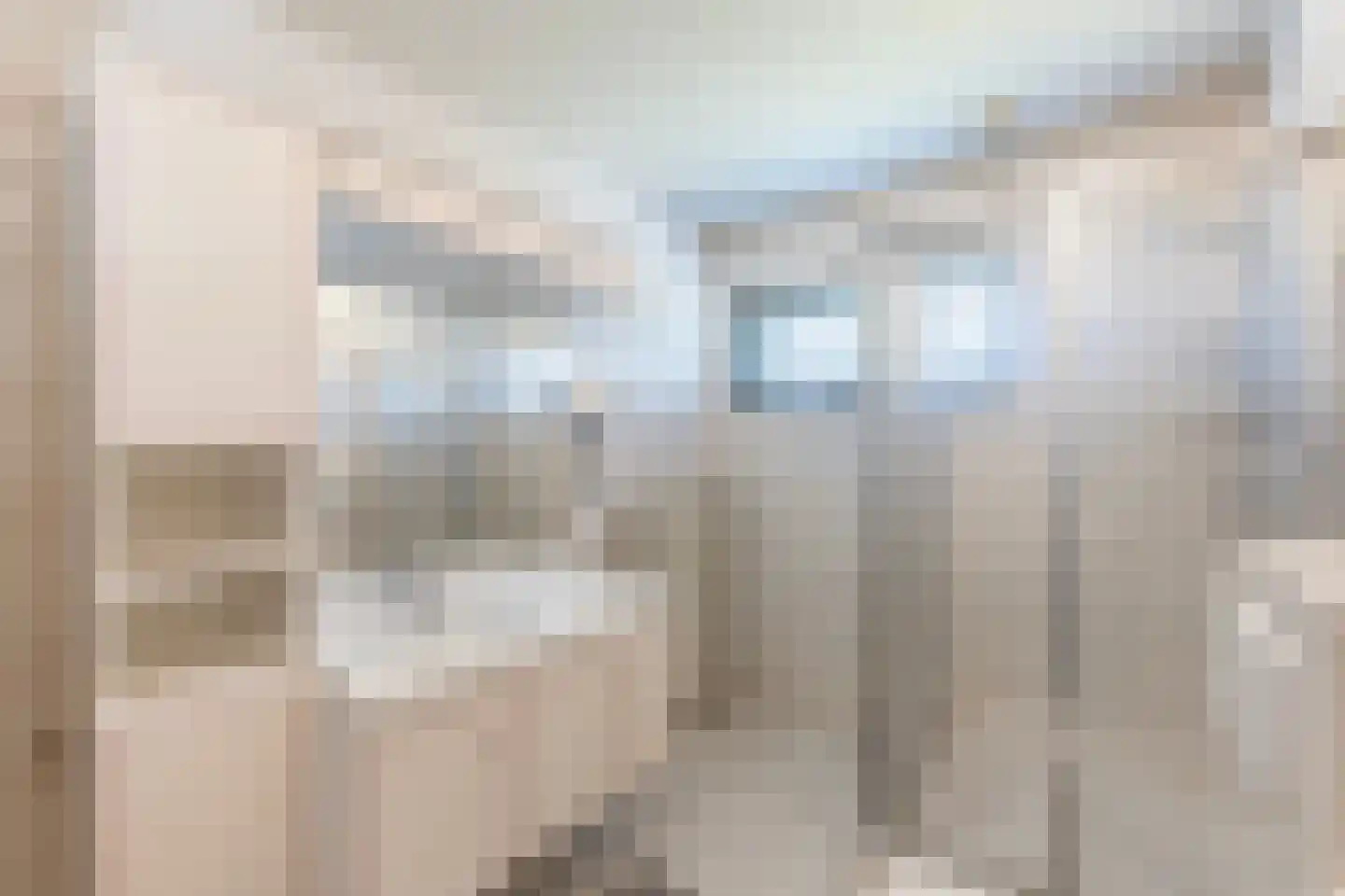 Richtershof 7 Dalfsen thumbnail 26
